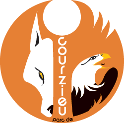 Logo circulaire cheval et aigle stylisés